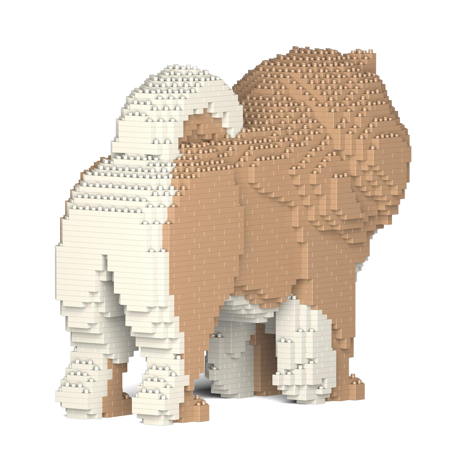 JEKCA Chow Chow 02S-M01 Plastic Building Blocks Set for Adults & Teens Age 14+ - Creative DIY Model Kit for Home Decor, Gift & Collectible Display