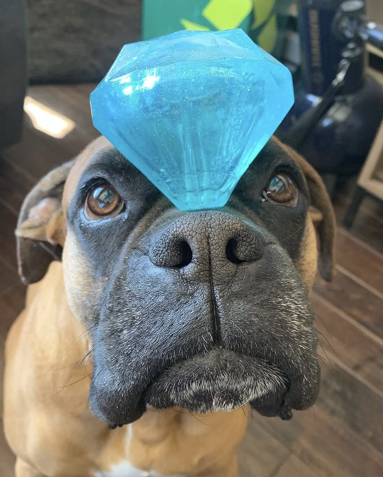 Spunky Pup Diamond Squeaker Dog Toy - Squeaky, Bouncy & Throwable Pet Toy for Small, Medium & Large Dogs | Sparkly Bling Design | 2.5