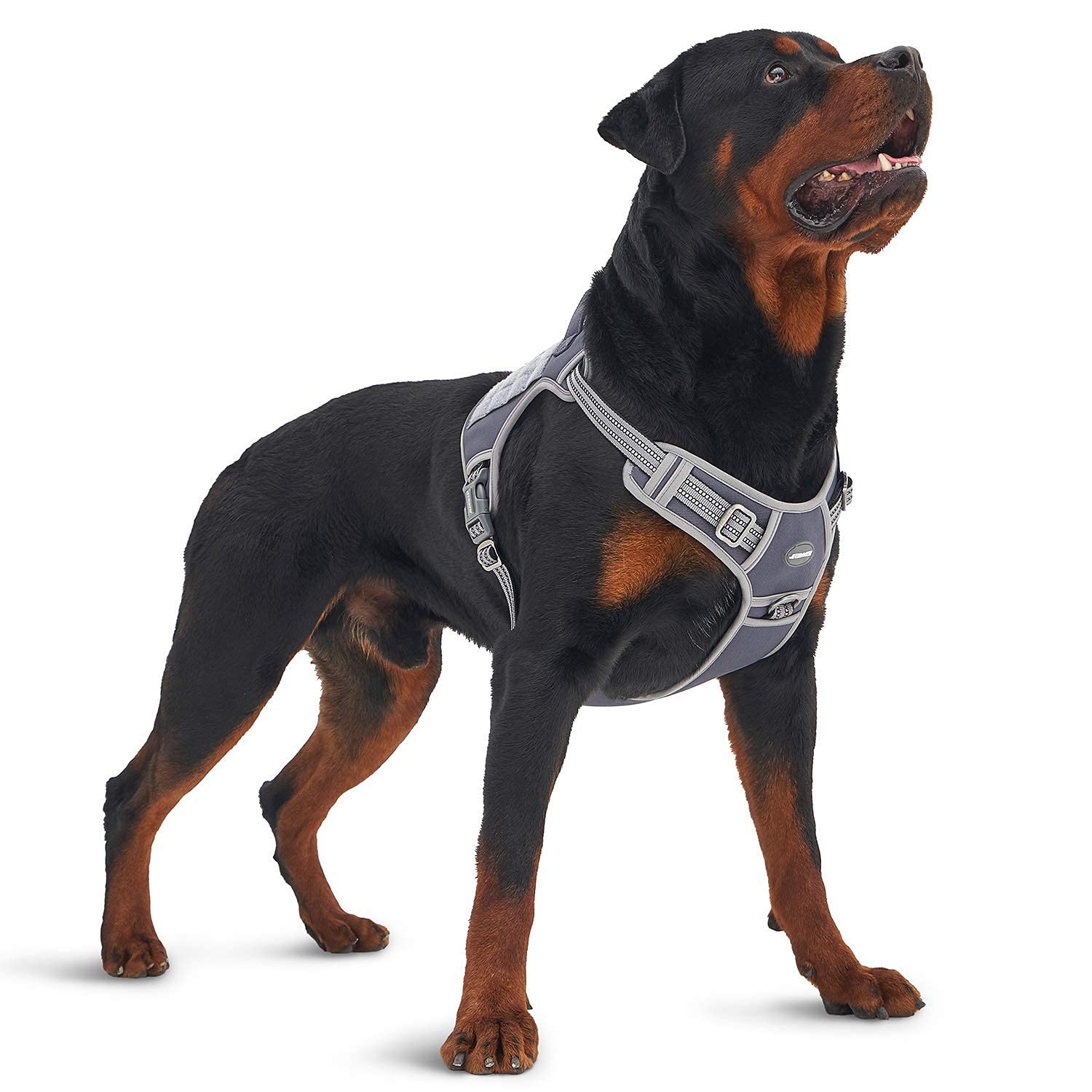 Auroth Tactical Dog Harness with 6 FT Grey Camo Heavy Duty Leash - No Pull Reflective Vest for Large Breed Dogs | Outdoor Training, Hiking & Night Walks