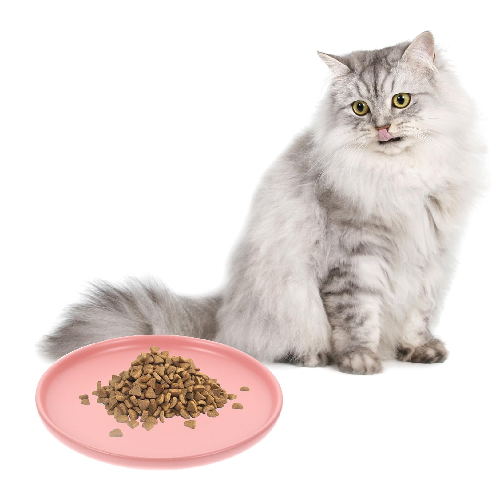 Premium Ceramic Cat Food Bowl - Shallow Dish for Dogs & Cats - Anti Whisker Fatigue Design - Ideal for Dry, Wet Food & Water - Perfect for Indoor Cats & Kittens - Great for Home, Kitchen, or Pet Feeding Station