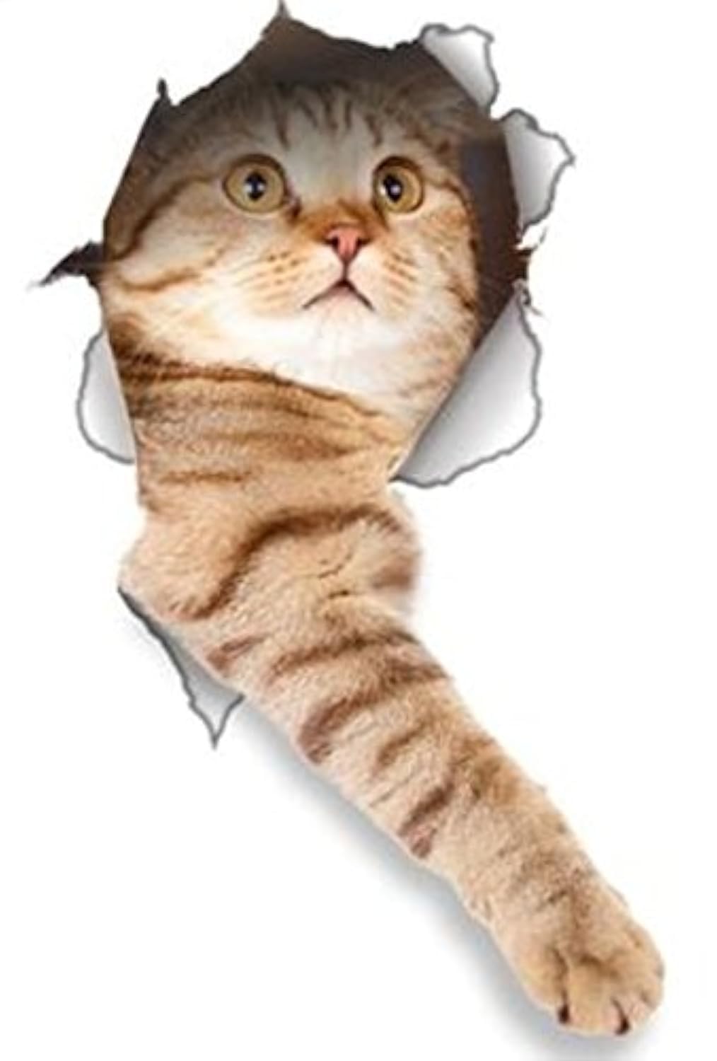 2 Pack 3D Cat Stickers - Funny Reaching Cat Wall Decals for Home Decor, Fridge, Toilet, Windows - Peel & Stick Vinyl Art for Bedroom, Office, Dorm Room