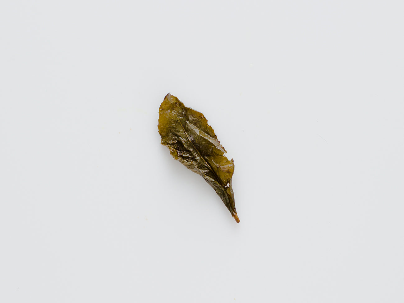 Premium Nantou Dark Oolong Tea - Loose Leaf Taiwanese High Mountain Tea for Relaxation & Focus - Perfect for Afternoon Tea, Meditation & Gifting