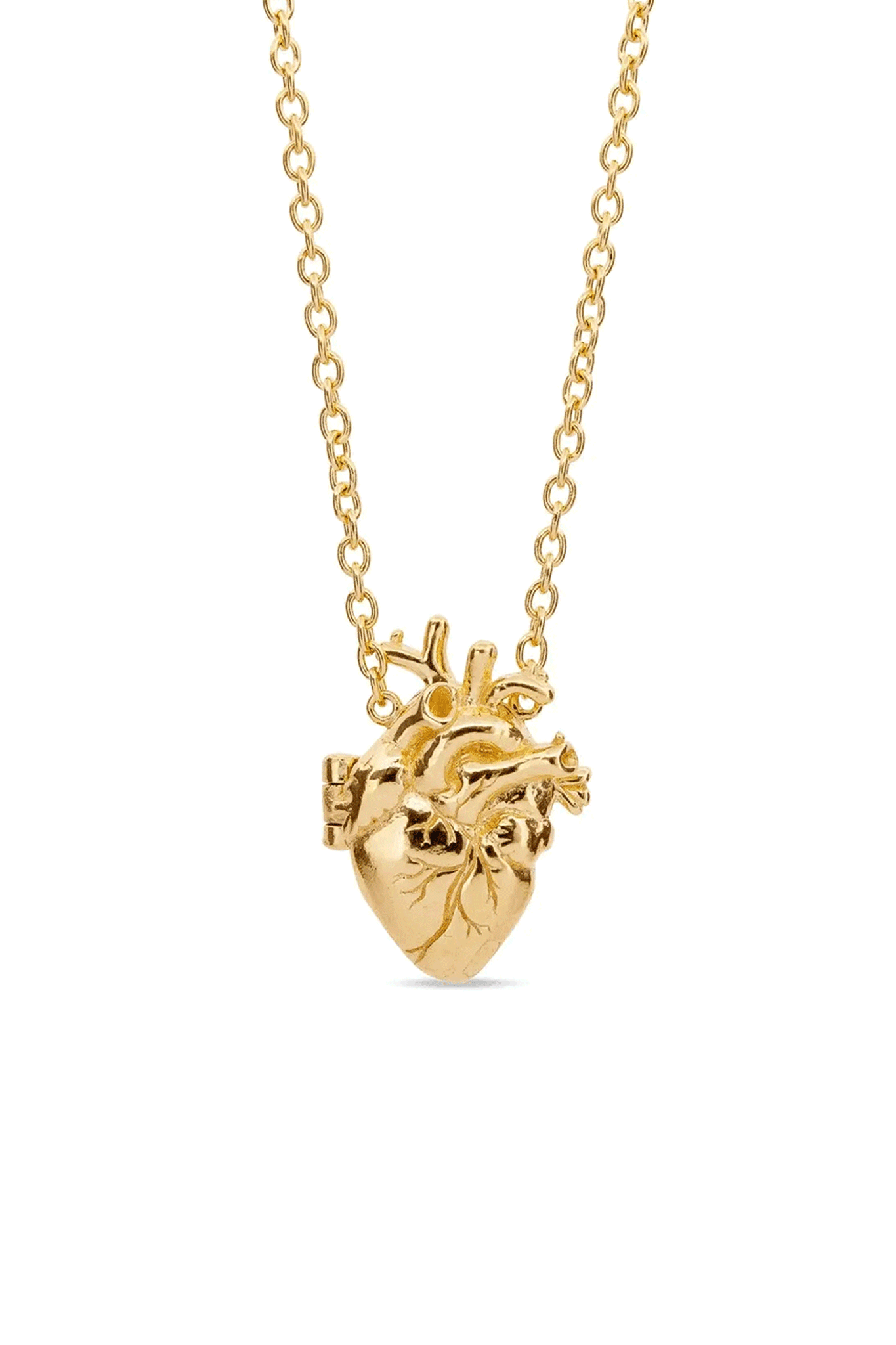 Anatomical Heart Locket Necklace - 18K Gold Plated Heart Pendant for Women - Perfect for Valentine's Day Gifts & Romantic Occasions