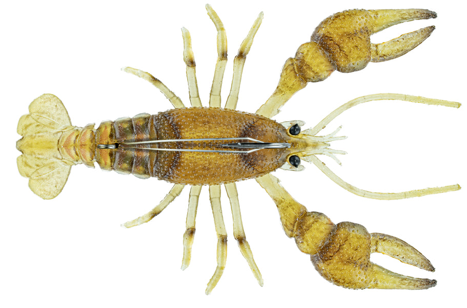 Chasebait Crawdad Mud Bug Soft Plastic Fishing Lures - Realistic Crawfish Bait for Bass, Trout, and Catfish - Perfect for Freshwater and Saltwater Fishing