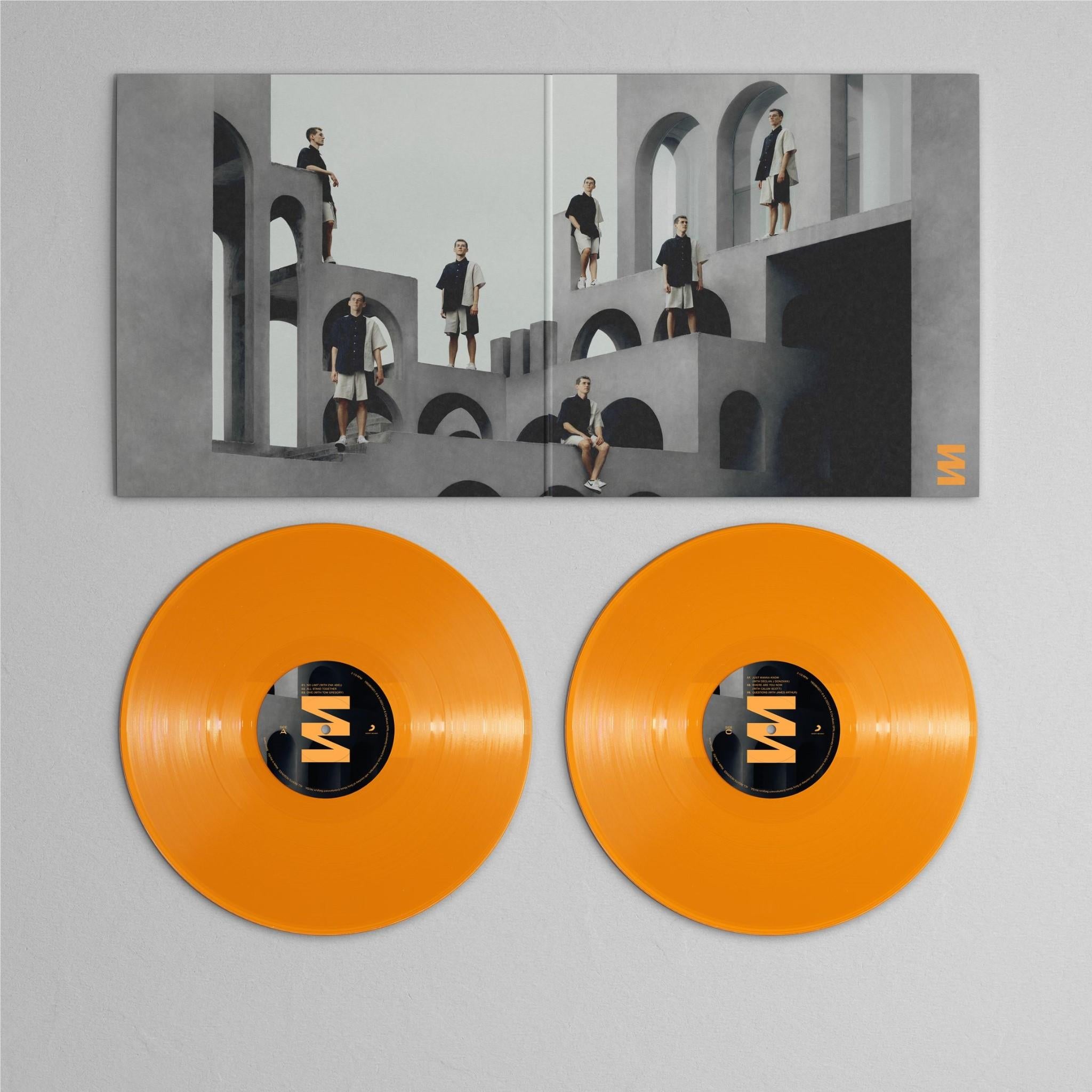 All Stand Together Orange Vinyl Record - Limited Edition Music LP for Collectors & Audiophiles - Perfect for Home Listening, Gifts & Vinyl Collections