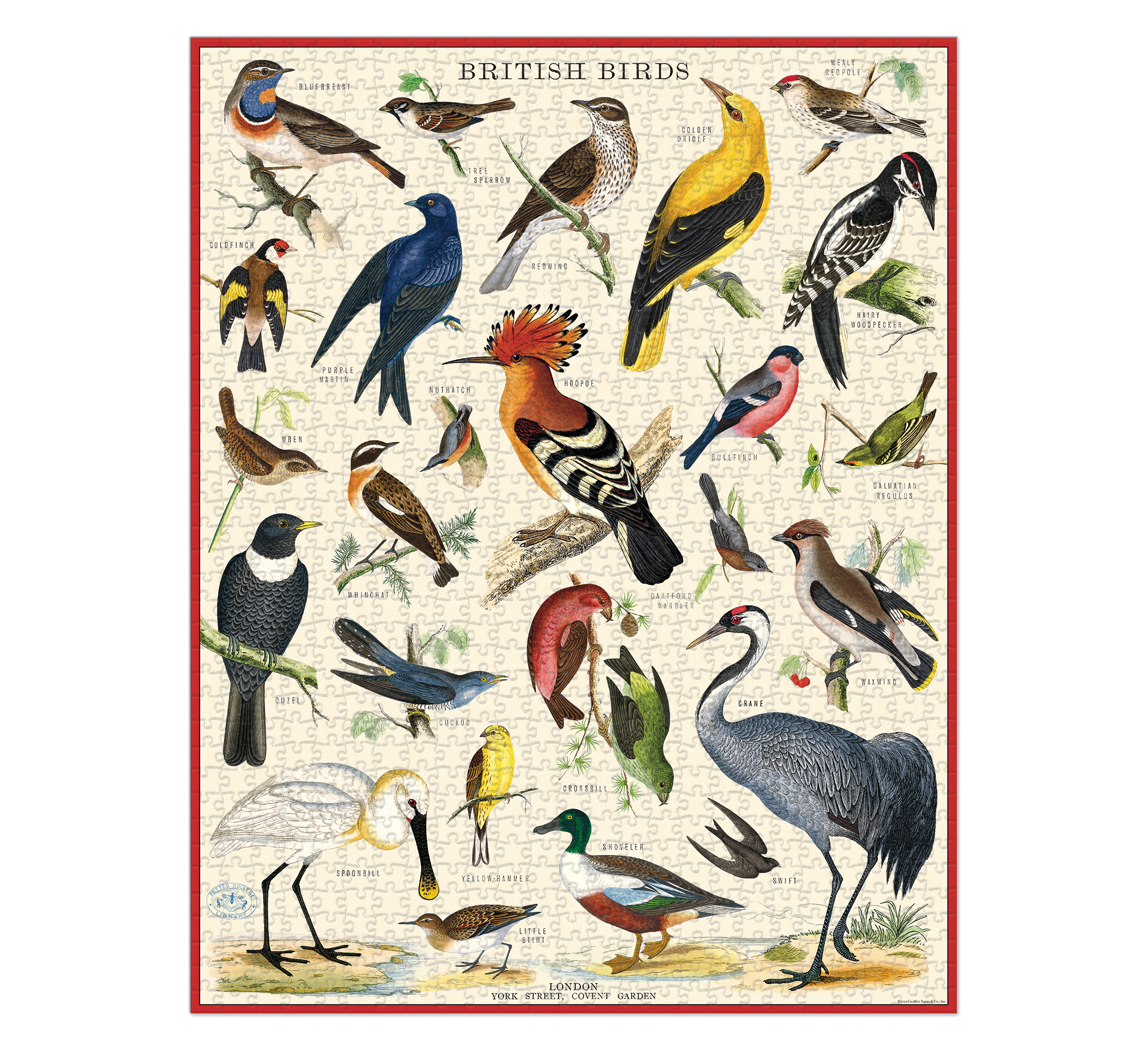 British Birds Jigsaw Puzzle - 500 Piece Wildlife Nature Puzzle for Adults & Kids - Perfect for Family Game Night & Educational Learning