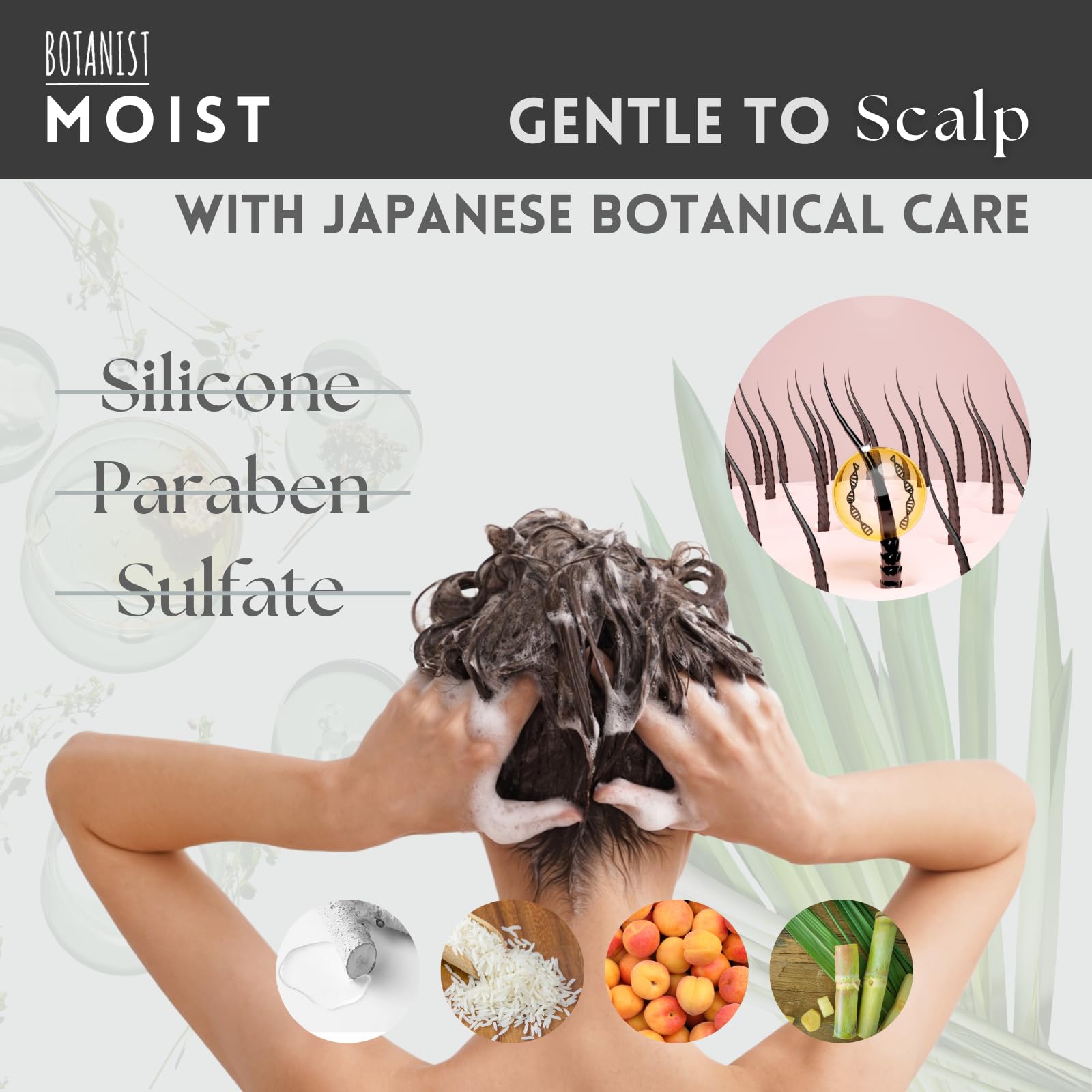 Botanist Keratin Shampoo for Dry & Damaged Hair - Natural Organic Moisturizing Shampoo with Japanese Macadamia Nut Oil & Rice Ceramide - Sulfate & Silicone Free - Apricot & Jasmine Scent - 15.5 Fl Oz - Perfect for Daily Hair Care & Repair for Women & Men
