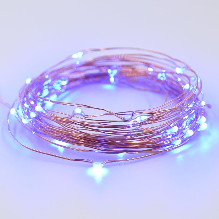 16.5 Foot 50 LED - Blue