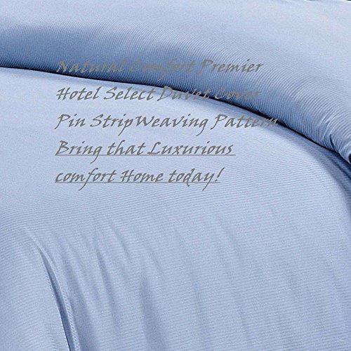 Pinstripe/Light Blue