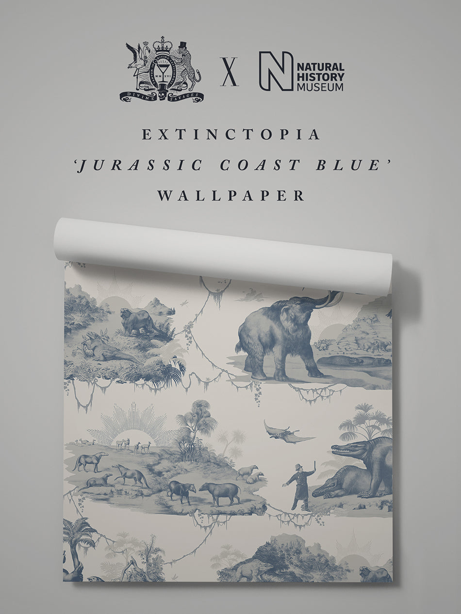 Jurassic Coast Blue