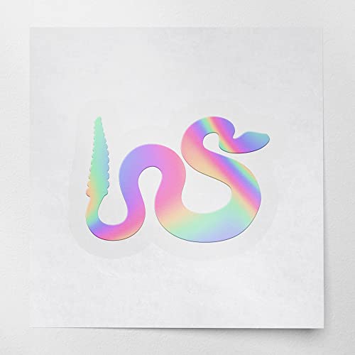 Hologram