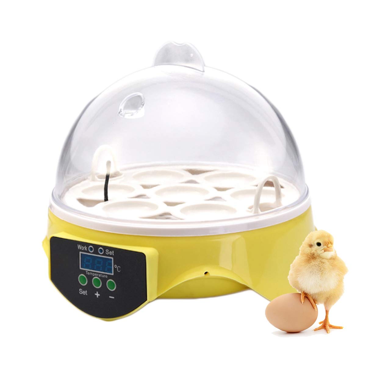 Automatic Mini Digital Egg Incubator with Temperature Control & Tray - 7 Egg Capacity for Chicken, Duck, Bird & Quail Eggs | Perfect for Home Poultry Farming, Classroom Science Projects & Backyard Hatching