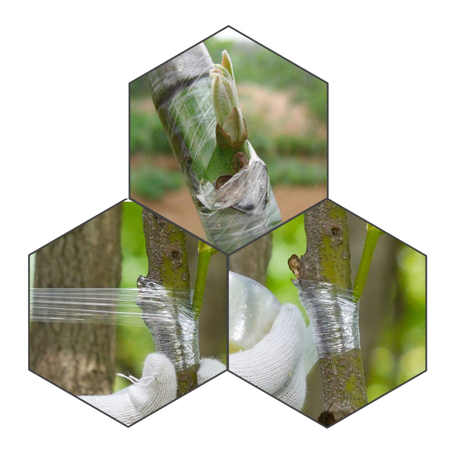 Premium Stretchable Grafting Tape for Plants - Clear Moisture Barrier Film for Fruit Trees, Flowers & Nursery Plants - Ideal for Budding, Grafting & Plant Repair - Perfect for Home Gardeners & Professional Nurseries