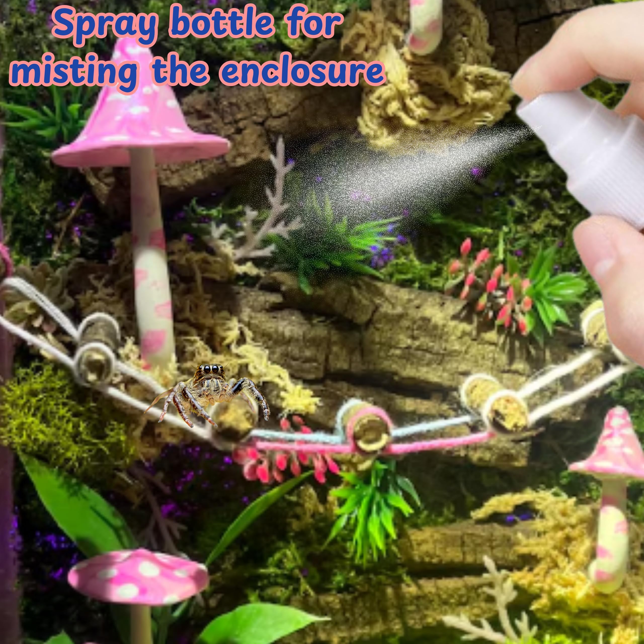 Premium Jumping Spider Enclosure Starter Kit - Tarantula Habitat with Accessories, Snail Terrarium & Moss Growing Tools | Mini Plant Grow Kit & Reptile Tank Supplies for Pet Spiders, Insects & Small Reptiles | Perfect for Home, Classroom & Nature Observation (Blue, Small Size)