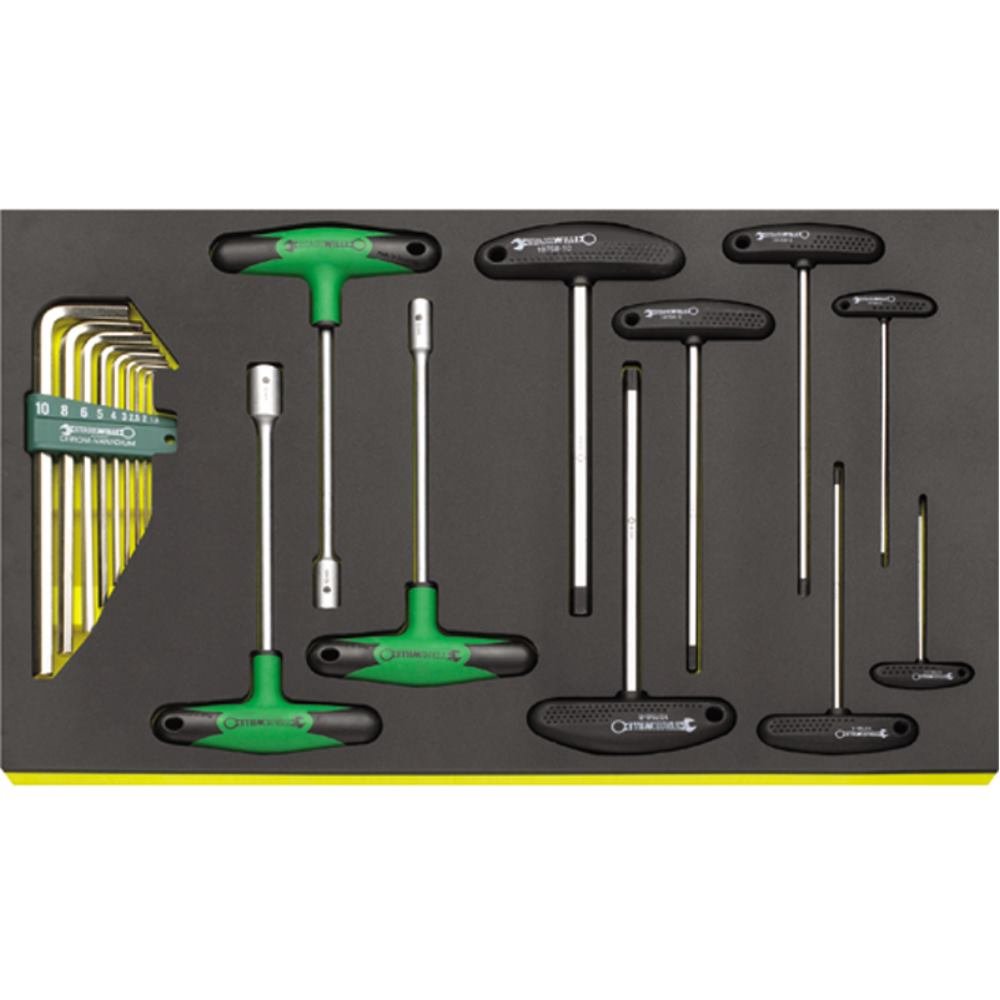 Stahlwille Professional Tool Set in Tool-Control Tray System - TCS 10765/10768/12507/19 | Durable German Engineering for Mechanics & DIY Projects