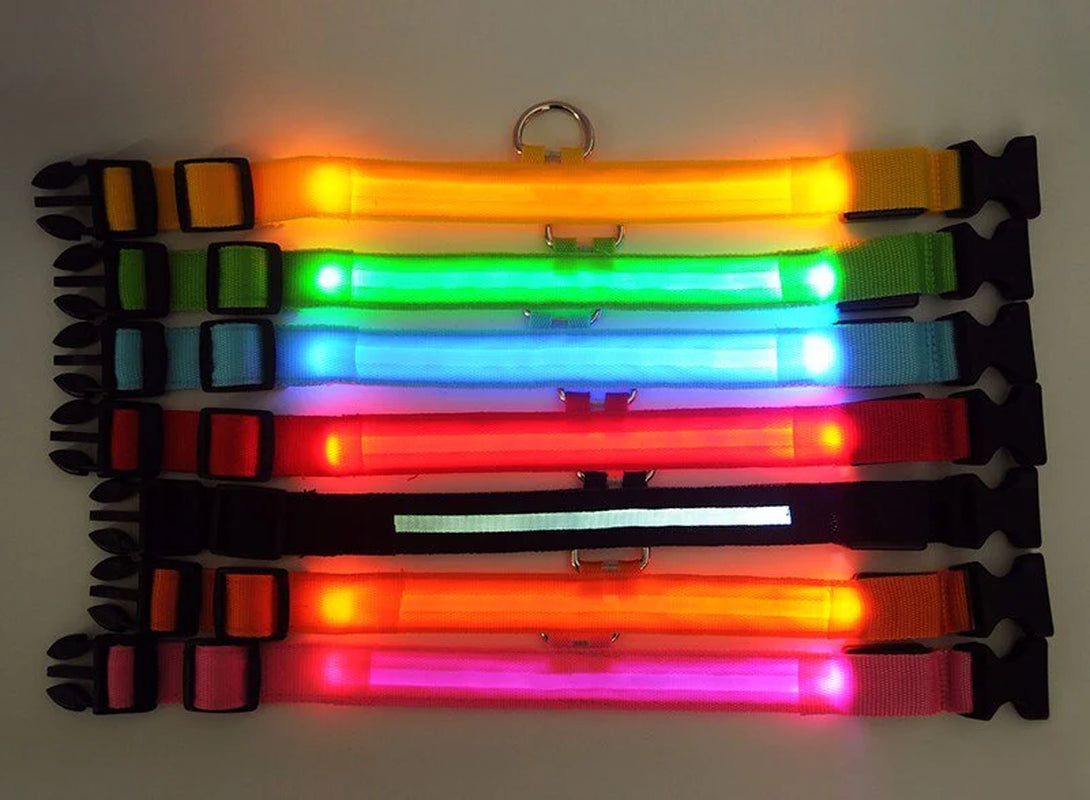 Waterproof LED Adjustable Dog Collar with Blinking & Flashing Lights - Glow Pet Safety Collar for Night Walks, Jogging & Outdoor Adventures