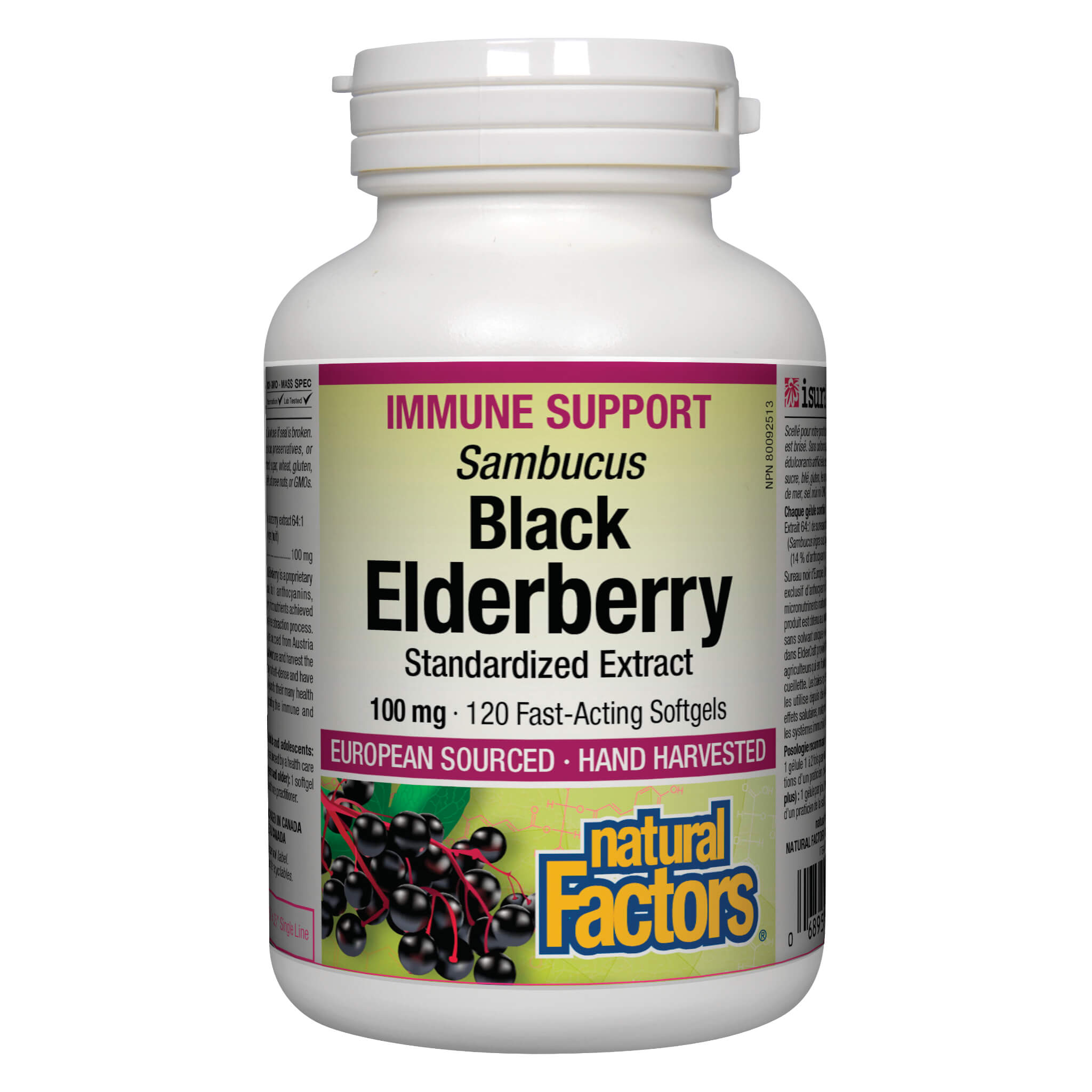 Premium Sambucus Black Elderberry 100mg Standardized Extract Supplement - Immune Support & Antioxidant Boost for Cold & Flu Season