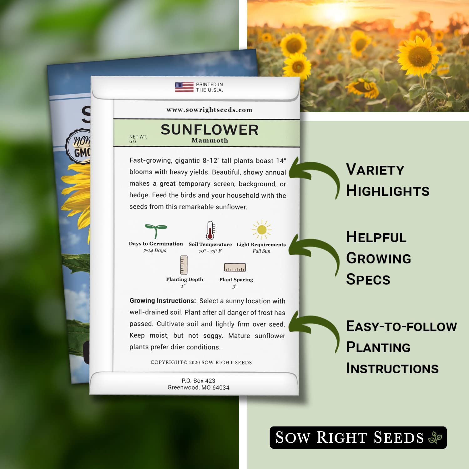 Non-GMO Mammoth Sunflower Seeds for Planting - Giant Heirloom Sunflowers to Grow in Your Garden - Bright Yellow Blooms Attract Bees & Birds - Sow Right Seeds (3 Pack) | Perfect for Backyard Gardening, Pollinator Gardens & Kids' Planting Projects