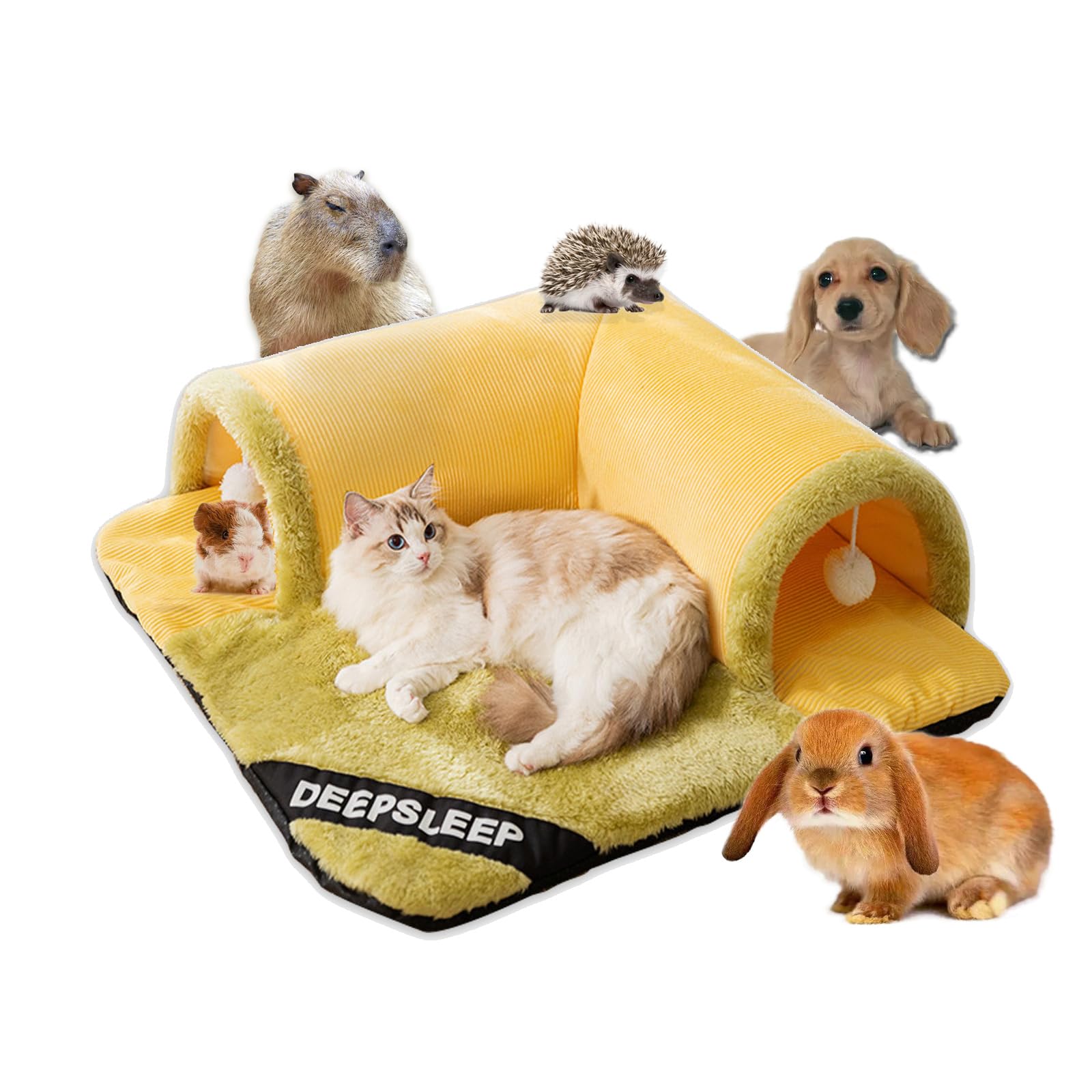 Peekaboo Cat Cave & Tunnel Bed for Indoor Cats - 2-in-1 Blanket & Play Tunnel, All-Season Detachable Pet Bed, 27.55