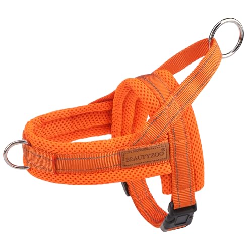 Orange_Mesh