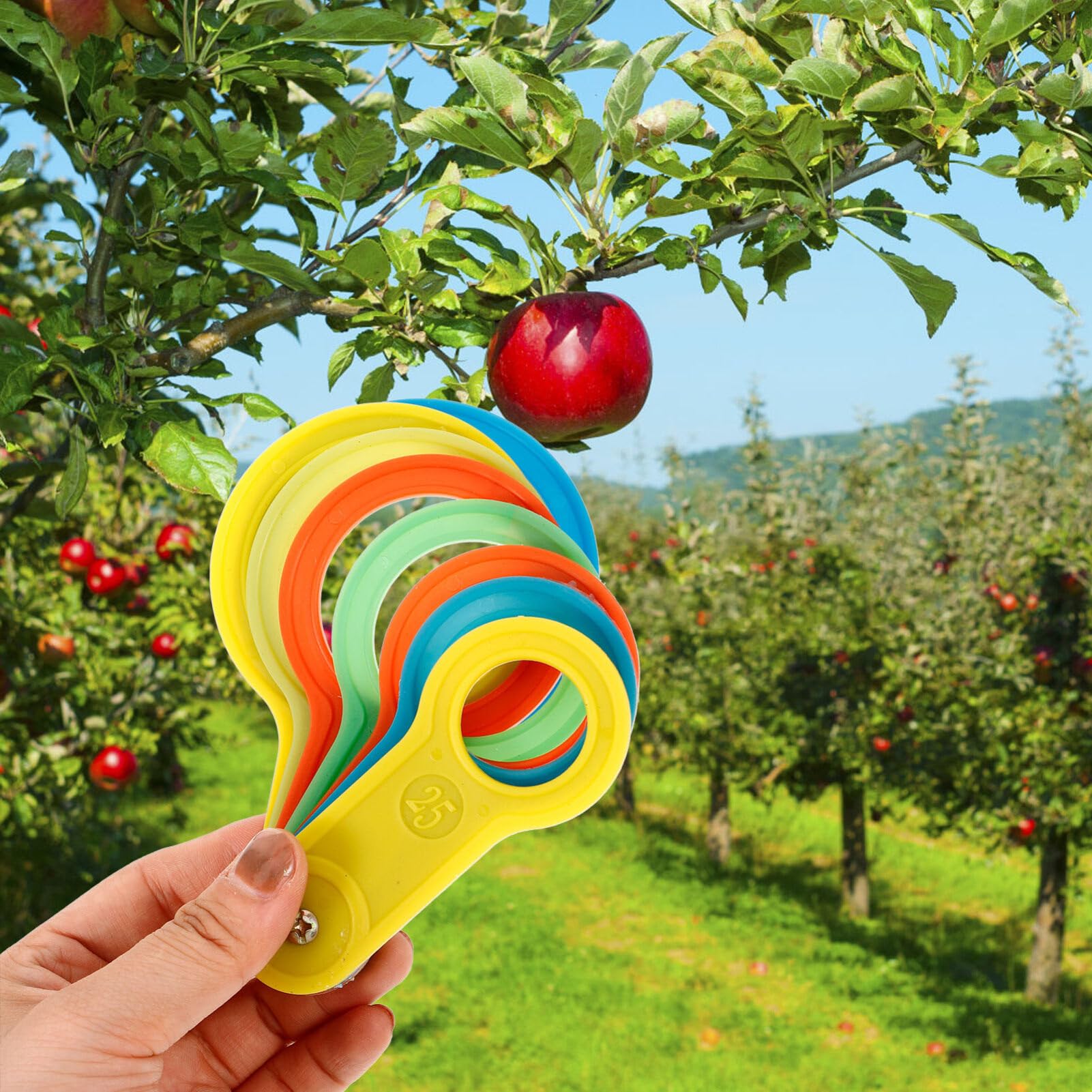 2 Sets Plastic Fruit Ring Sizer Measuring Tool (25-60mm & 60-110mm) - Diameter Measurement Gauge for Oranges, Peaches, Apples - Perfect for Farmers Market, Grocery Stores & Home Kitchen Use