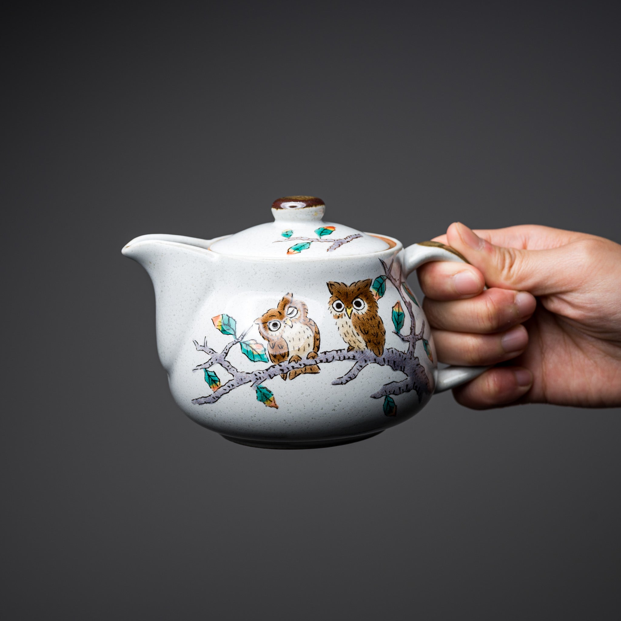 Premium Kutani Ware Owl Single Tea Pot - Handcrafted Japanese Ceramic Teapot for Green Tea & Herbal Infusions - Perfect for Tea Ceremonies, Gifts & Home Decor