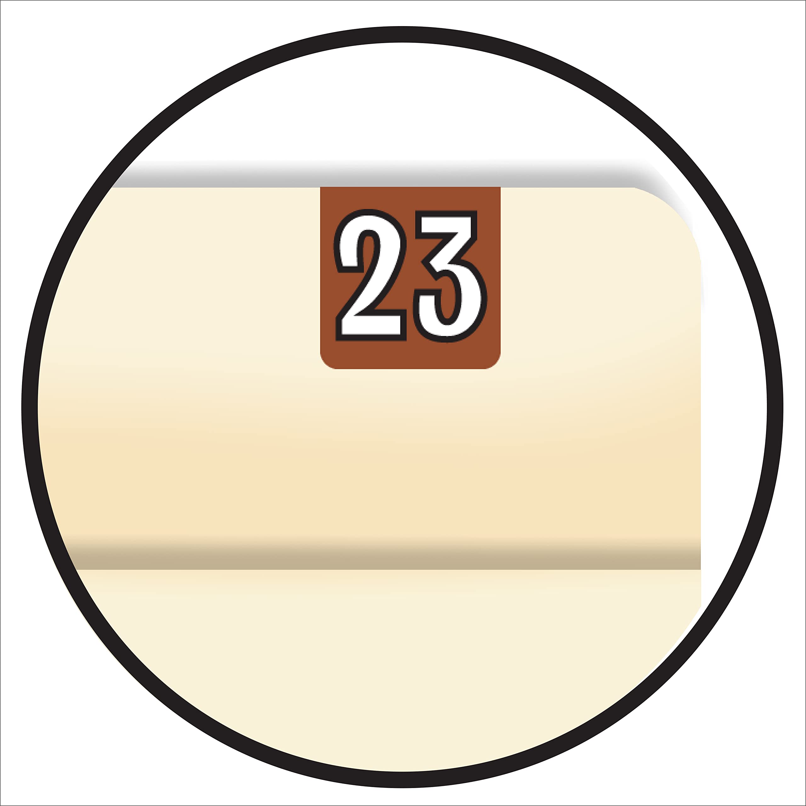 2023 Mini Year Stickers - Brown Doctor Themed Chart Labels | Colwell Jewel Tone Style | 1/2