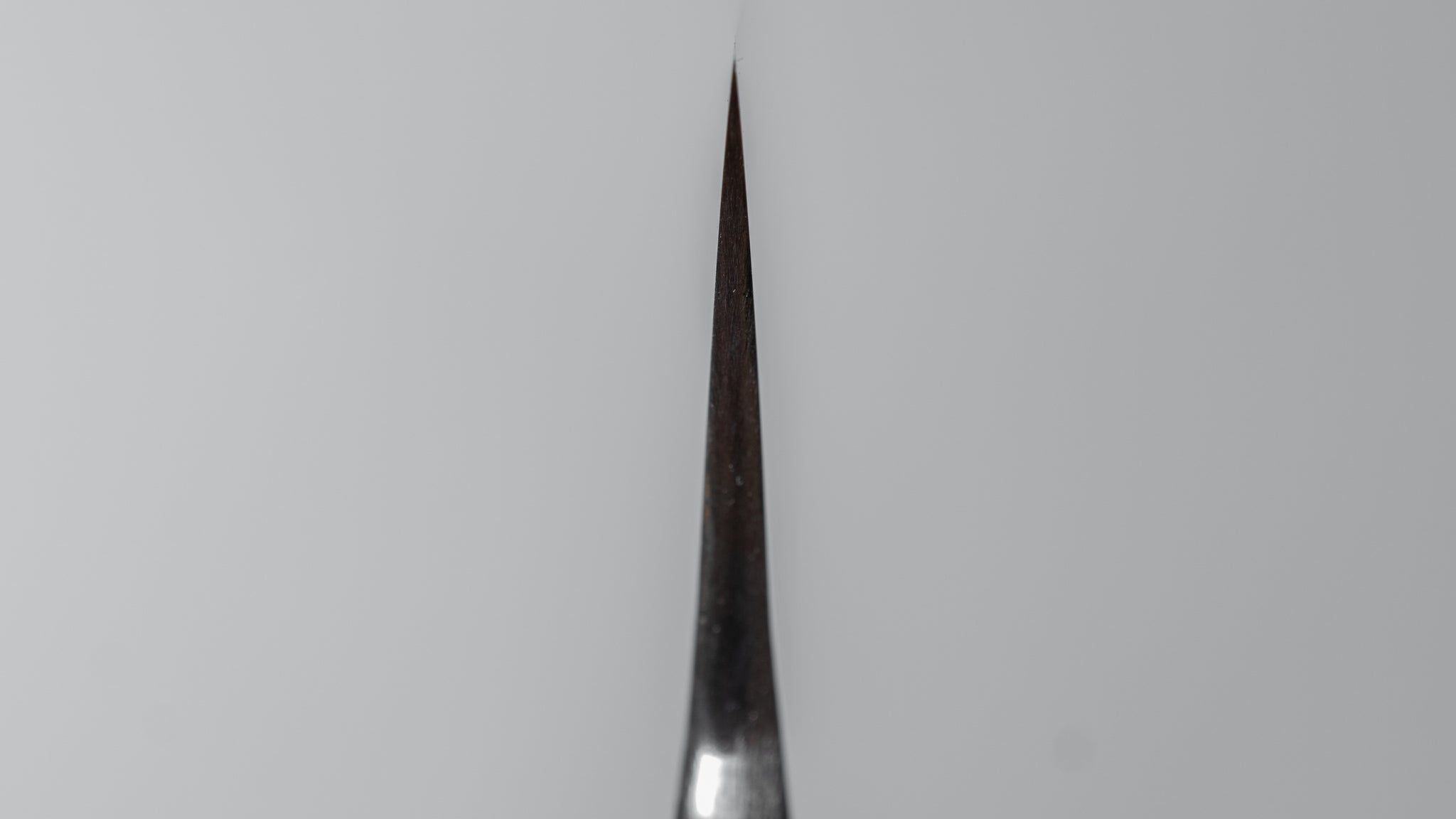 Premium Jiro Tsuchime Sujihiki 210mm Japanese Slicing Knife - Taihei Tagayasan Wood Handle (#379) - Perfect for Sushi, Sashimi & Meat Carving