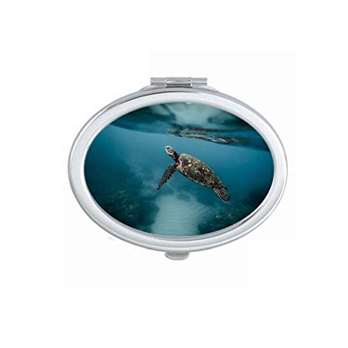 DIYthinker Ocean Sea Turtle Science Nature Picture Mirror - Portable Foldable Double-Sided Makeup & Glasses Mirror for Travel, Home Vanity, and Gift Giving