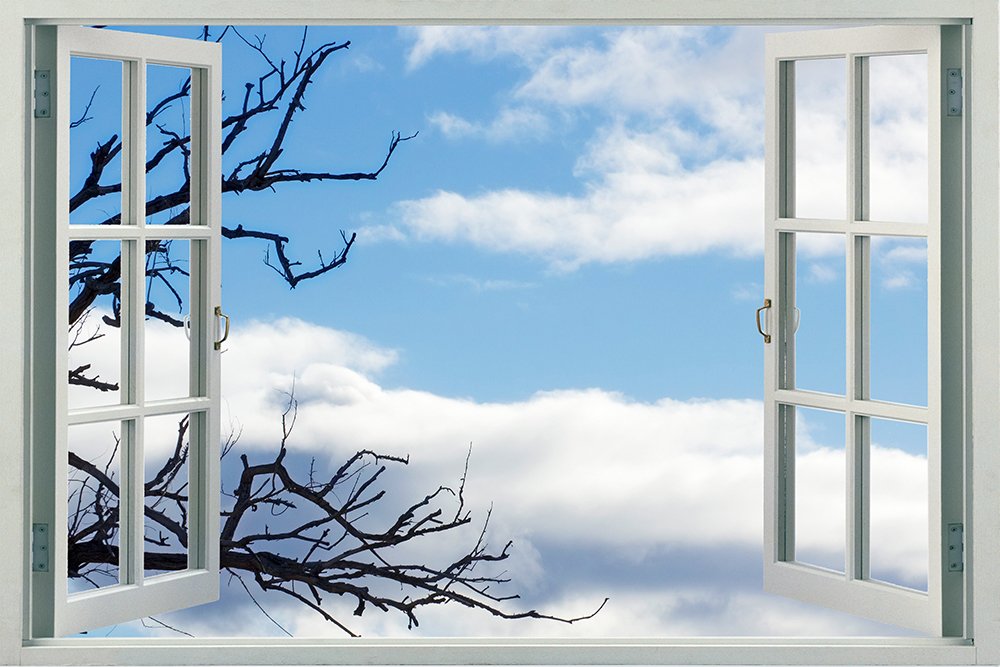 Peel and Stick Faux Window Wall Decal - Tree Branch with Clouds Design (24x16 Inches) - Perfect for Bedroom, Living Room & Office Decor