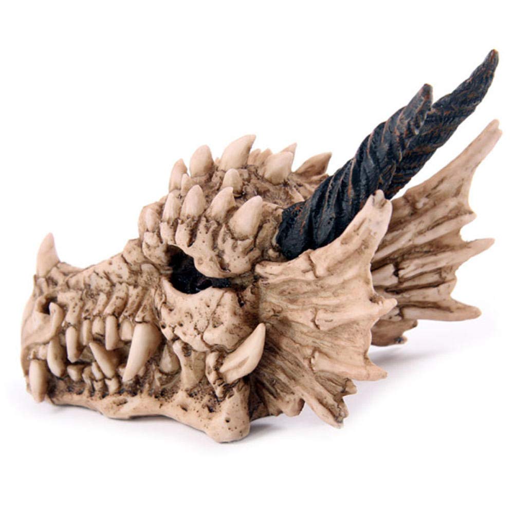 Handmade Dragon Skull Sculpture - Snarling Magical Treasure Trinket Box & Piggy Bank with Horns - Unique Coin Holder for Home Decor, Fantasy Collectibles & Gift Giving