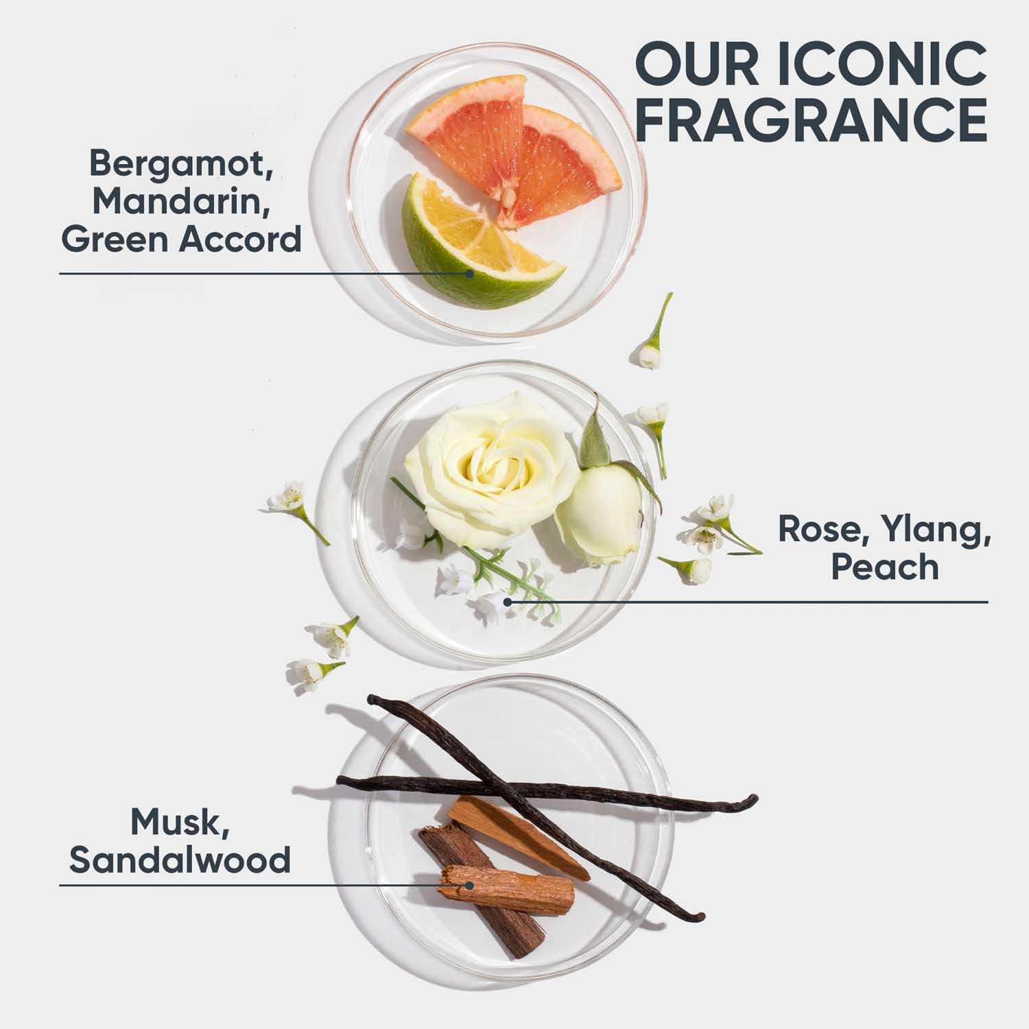 Biolage Hydrasource Conditioner for Dry Hair - Paraben Free, Intensely Hydrating Apricot Formula (98g) | Deep Moisture Treatment for Damaged & Frizzy Hair at Home or Salon