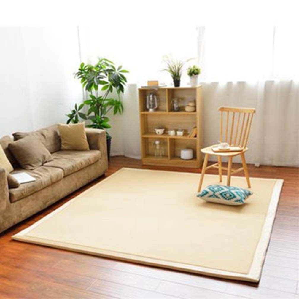Soft Coral Fleece Non-Slip Area Rug 4'x8' - Modern Rectangular Indoor/Outdoor Carpet for Living Room, Bedroom, Nursery & Kids Play Area - Cozy Home Decor Floor Mat for Comfort & Safety