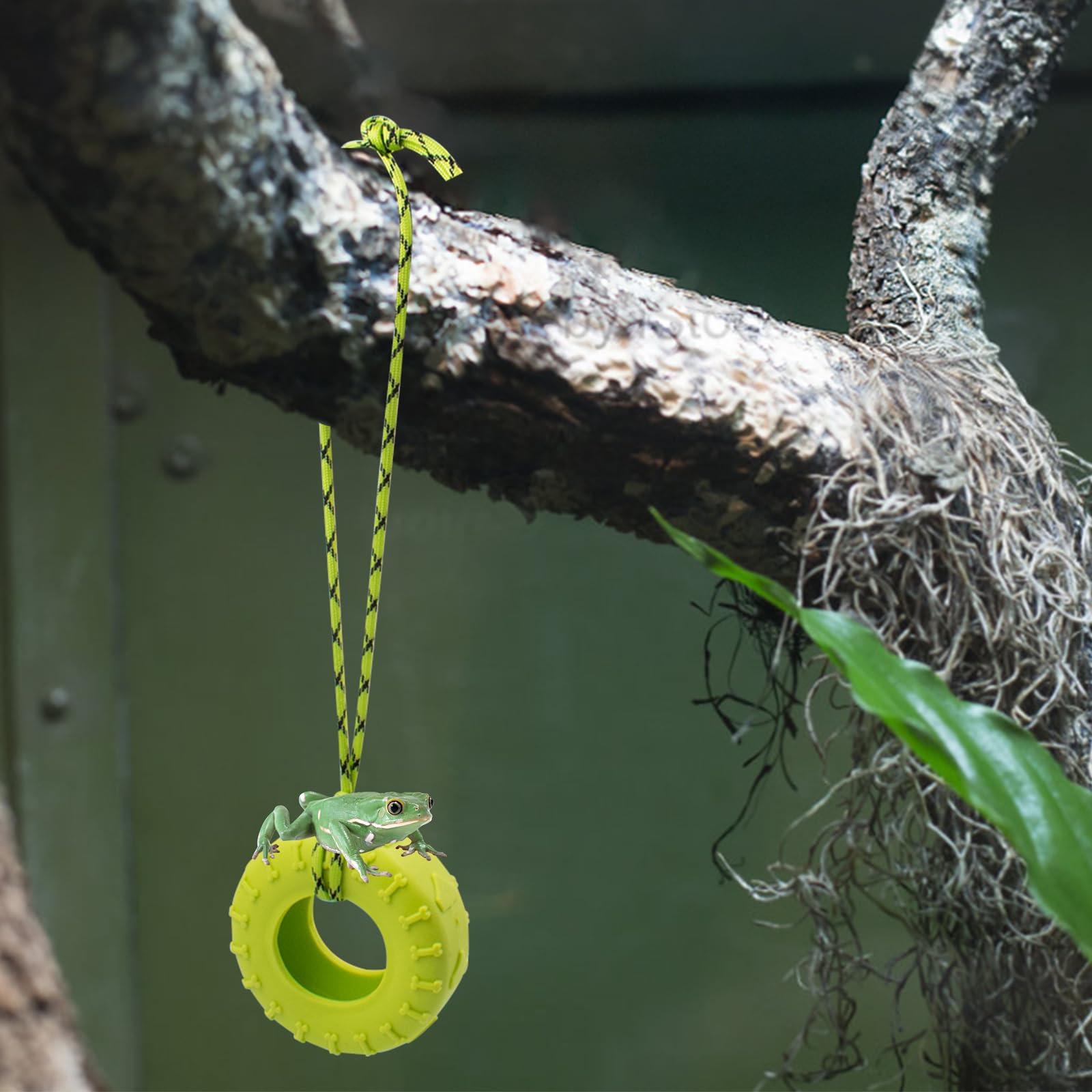2 PCS Tree Frog Toy Tire Swing with Suction Cups - Miniature Habitat Accessories for Frog Tanks, Terrariums & Reptile Enclosures - Perfect for Climbing, Play & Decoration (Ideal for Frogs, Reptiles & Amphibians)