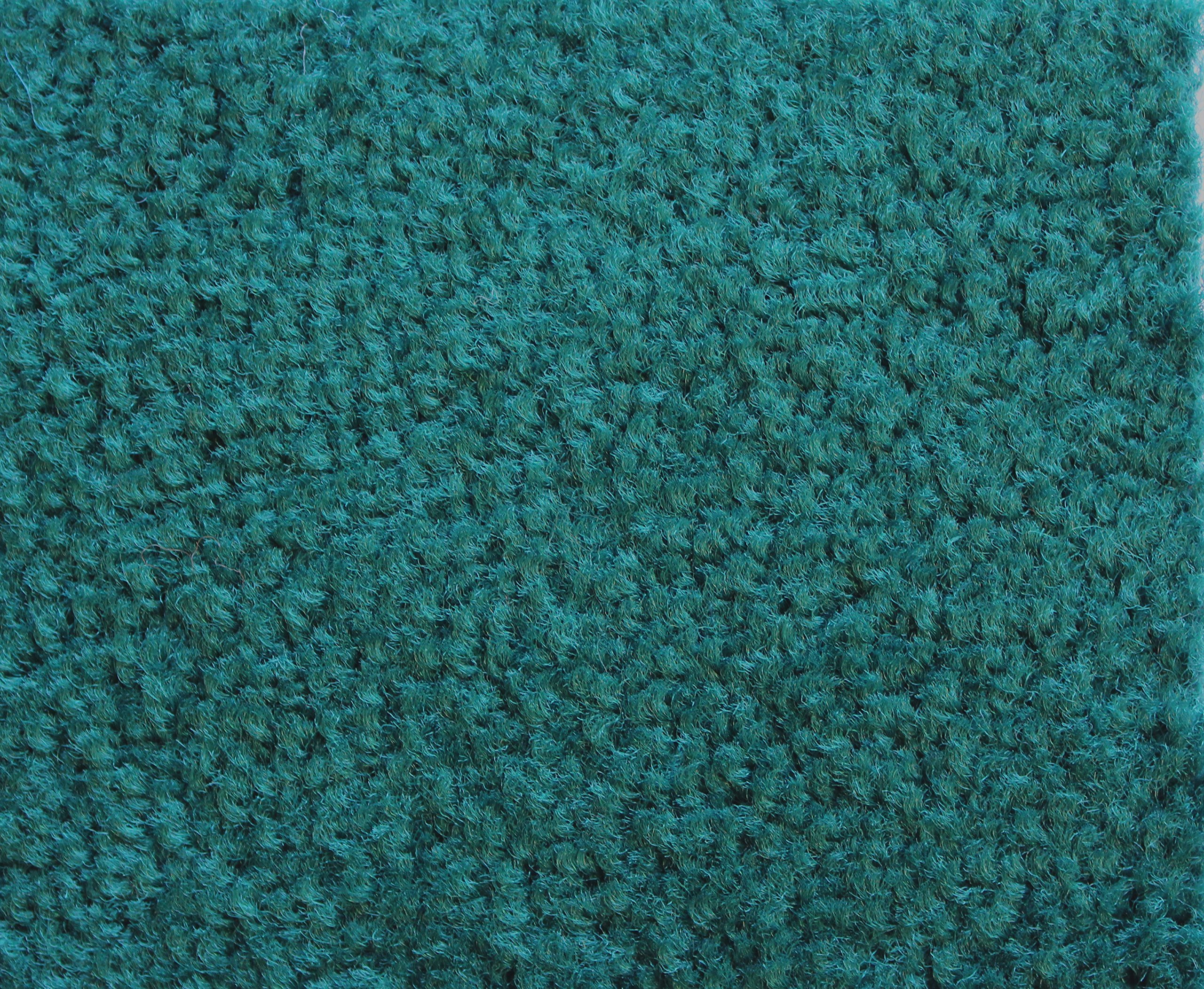 Premium Dark Green Plush Carpet 6' x 10' - Soft & Durable Non-Slip Entrance Door Mat for Home, Office & High Traffic Areas - Perfect for Living Room, Bedroom & Entryway Decor