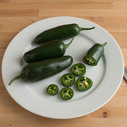 El Jefe Hybrid Hot Jalapeno Pepper Seeds - 25 Count - Spicy Heirloom Vegetable Seeds for Home Garden, Canning & Mexican Cooking