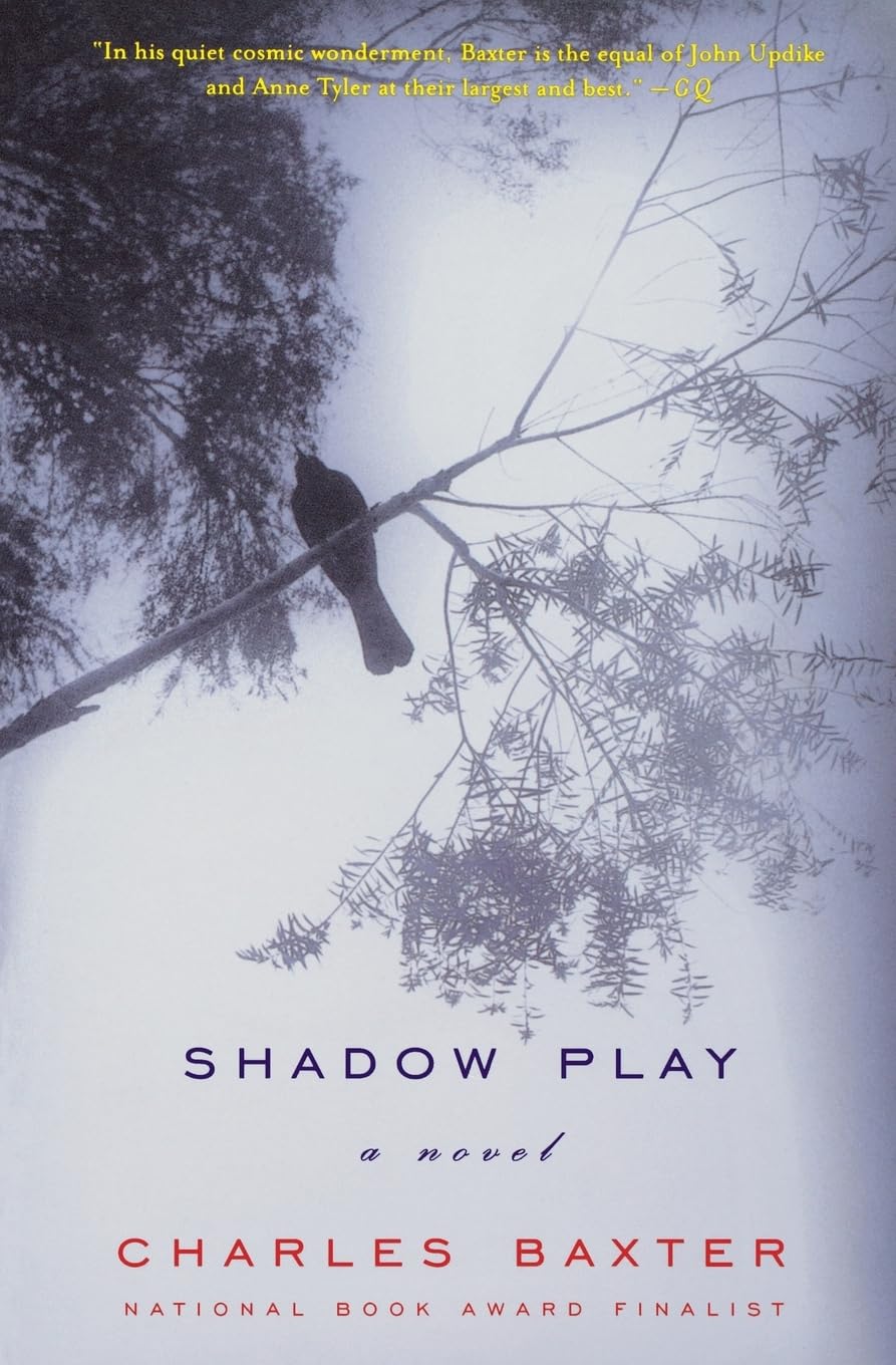 Shadow Play: A Novel - Psychological Thriller Book by Norton Paperback | Perfect for Book Clubs & Nighttime Reading