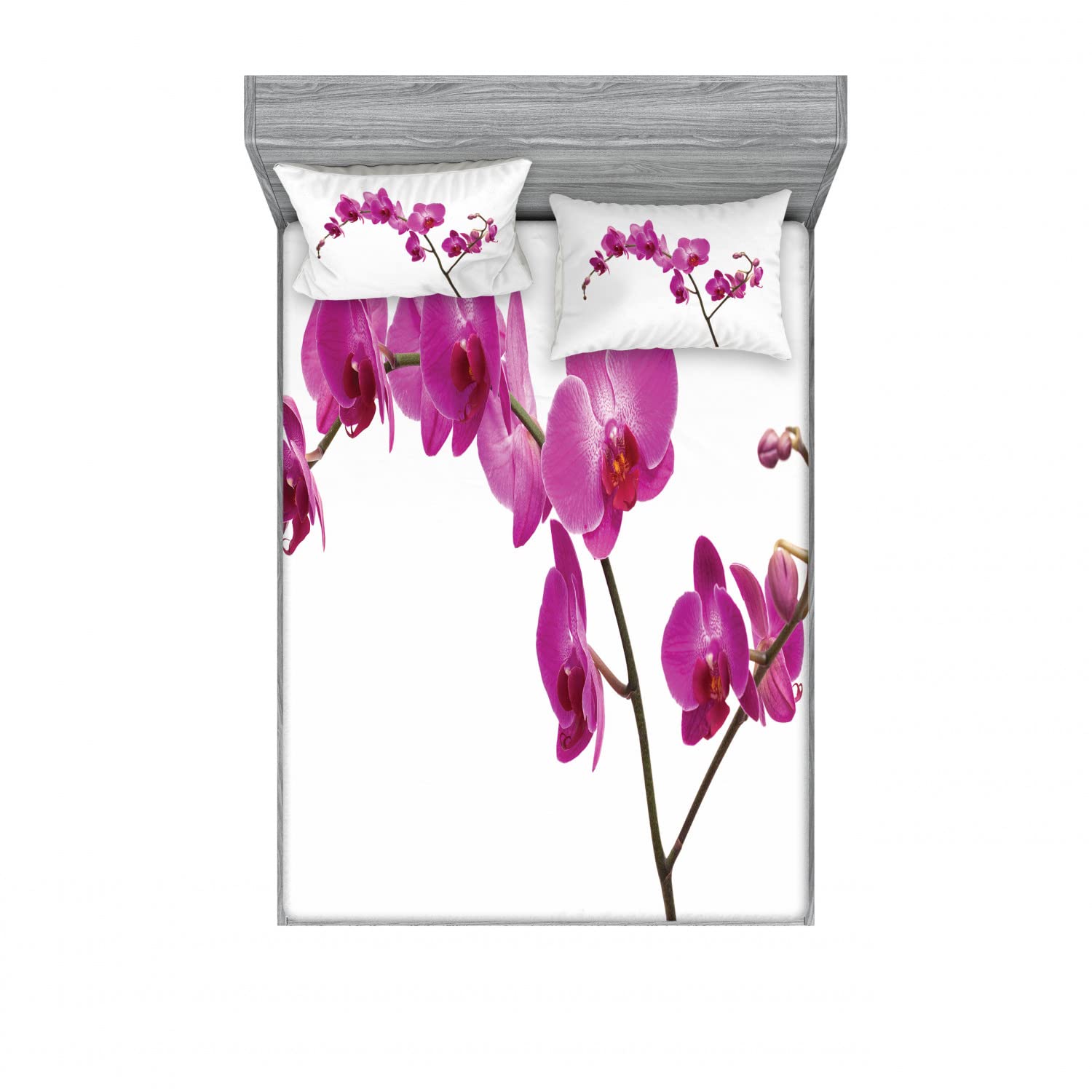 Ambesonne 2-Pack Queen Size Fitted Sheet & Pillow Sham Set - Wild Orchid Floral Design, 4-Piece Bedding Collection (2 Fitted Sheets + 4 Pillowcases) in Violet - Soft Wrinkle-Resistant Fabric for Master Bedroom, Guest Room & Vacation Home Decor