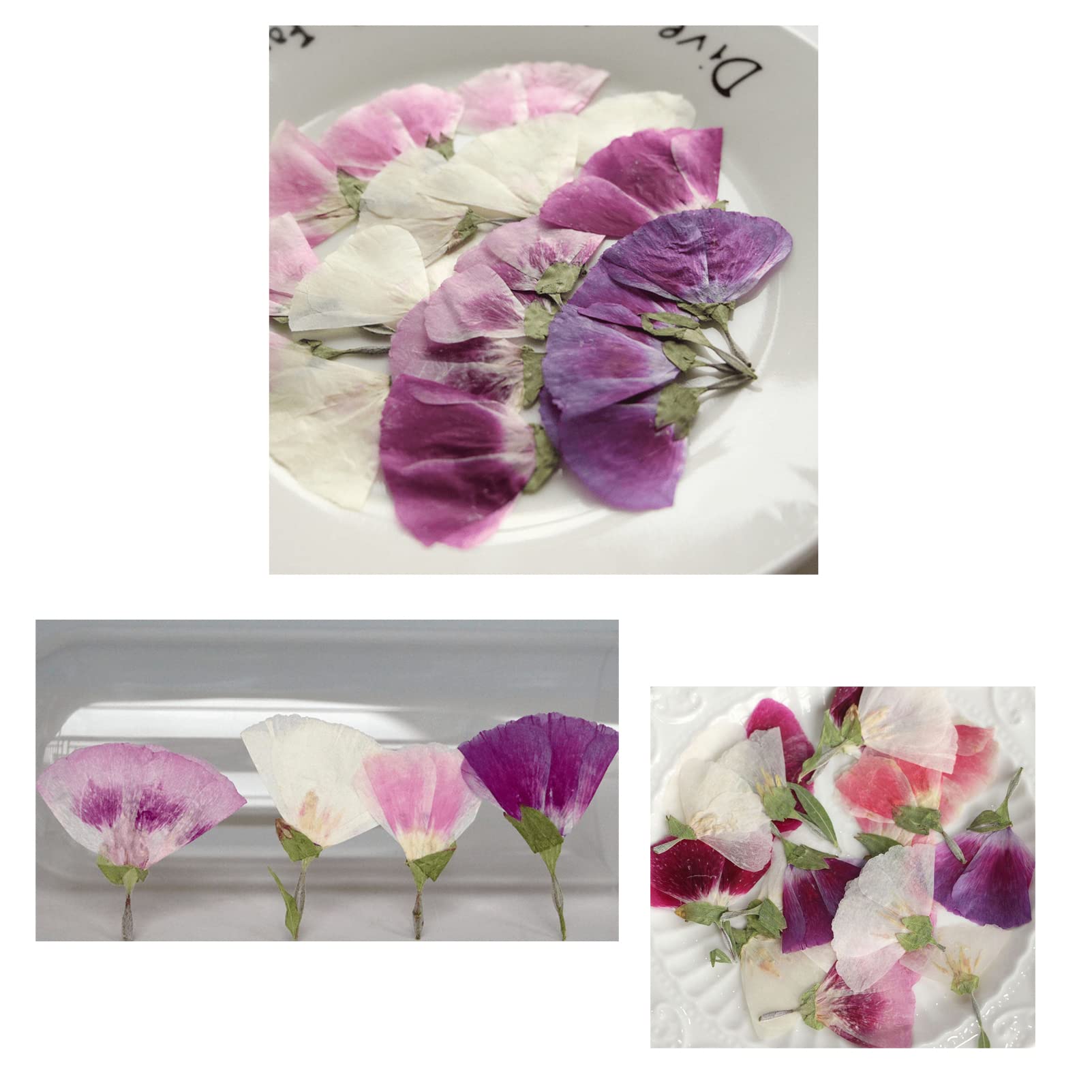 48-Piece Mixed Color Clarkia Amoena Pressed Dried Flowers Set - Natural Godetia Petals for Candle Making, Scrapbooking, Jewelry, Nail Art & DIY Crafts - Perfect for Wedding Decor, Home Fragrance & Gift Wrapping