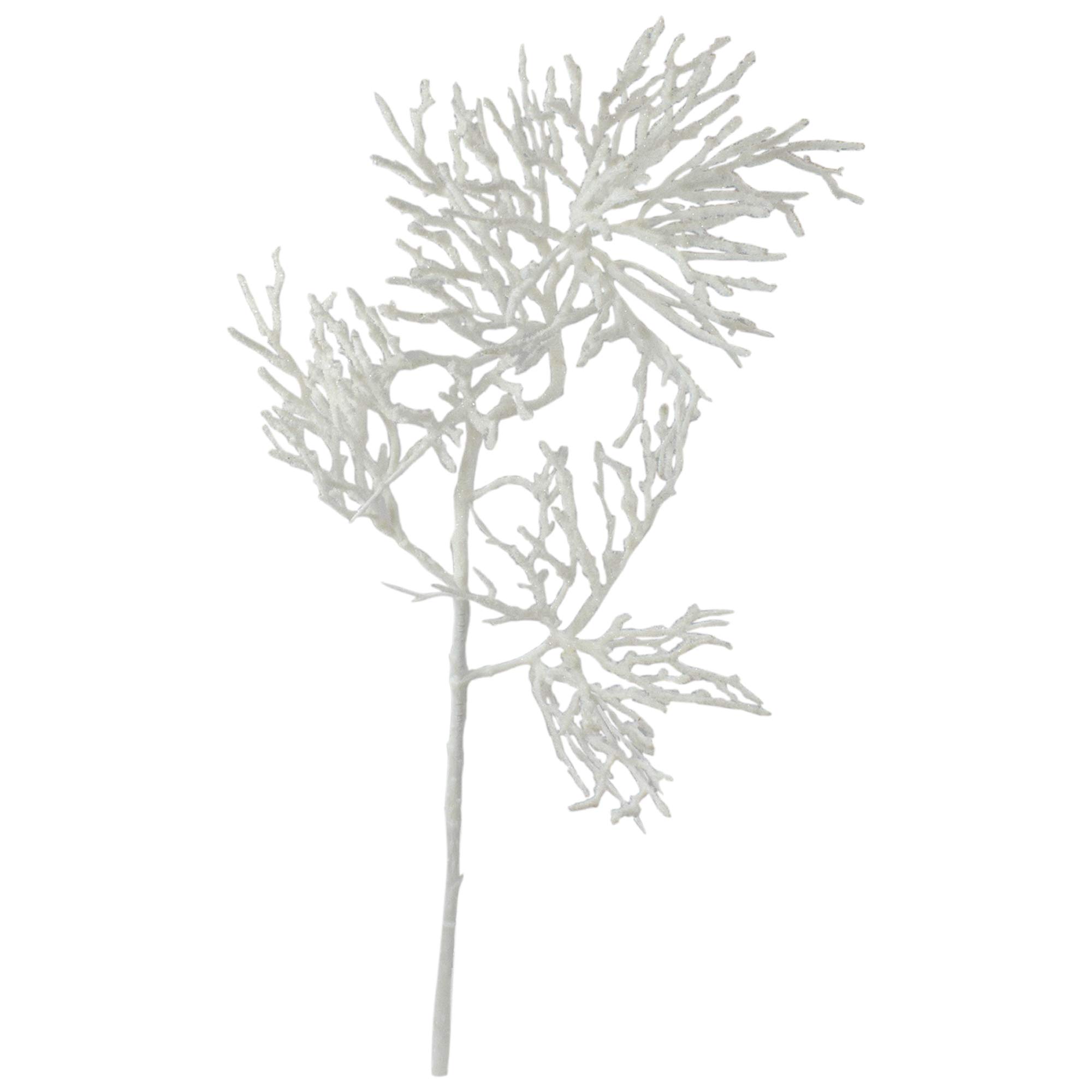 Northlight 22