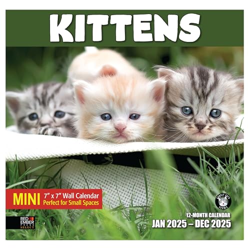 02A - Kittens