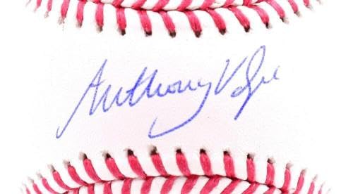 Anthony Volpe Autographed OML Baseball - Official MLB Licensed - Signed Collectible Baseball for Fans - Perfect for Display, Memorabilia Collections, and Yankees Gifts