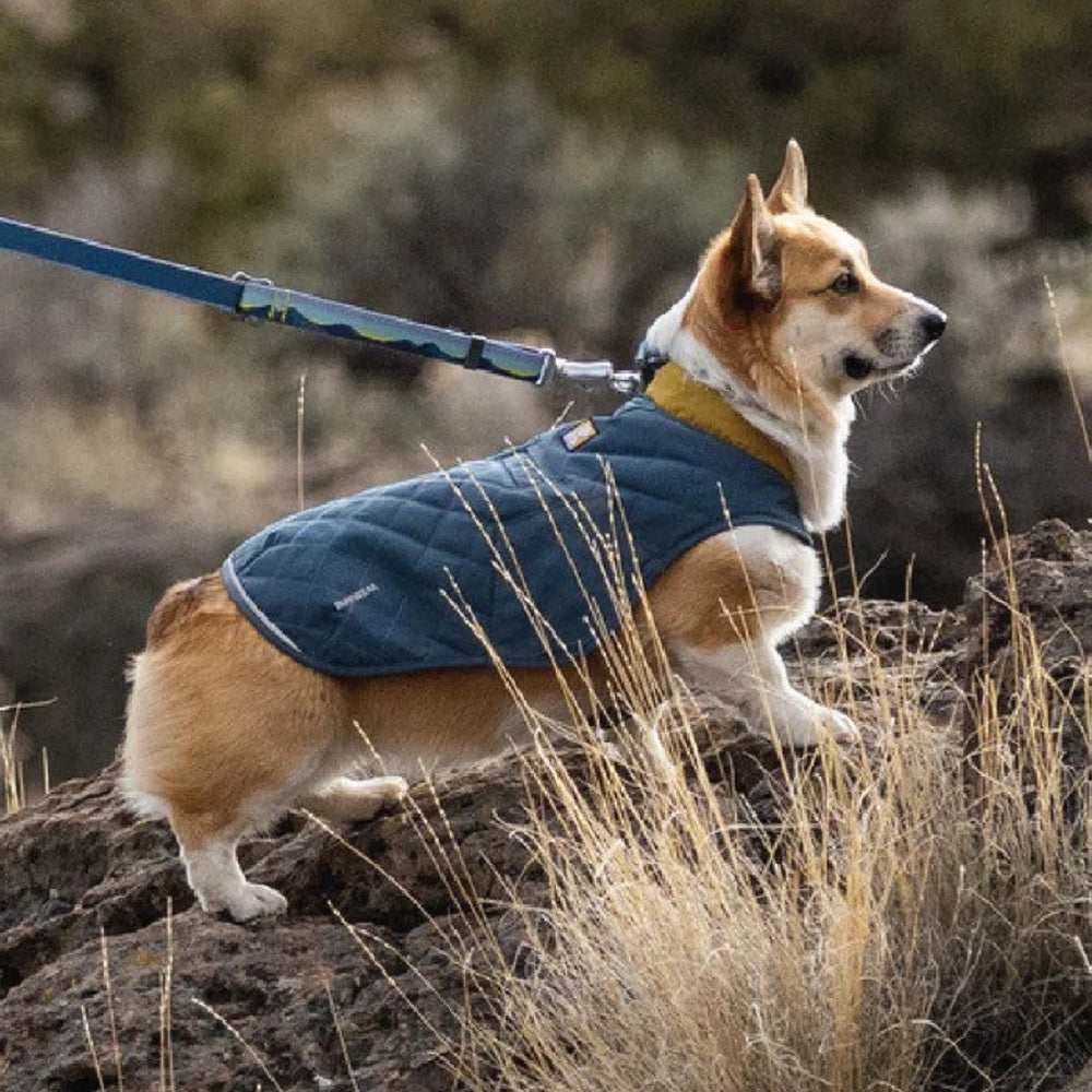 Stumptown Dog Jacket - Waterproof & Reflective Winter Coat for Small to Large Dogs - Keep Your Pet Warm & Safe on Outdoor Adventures