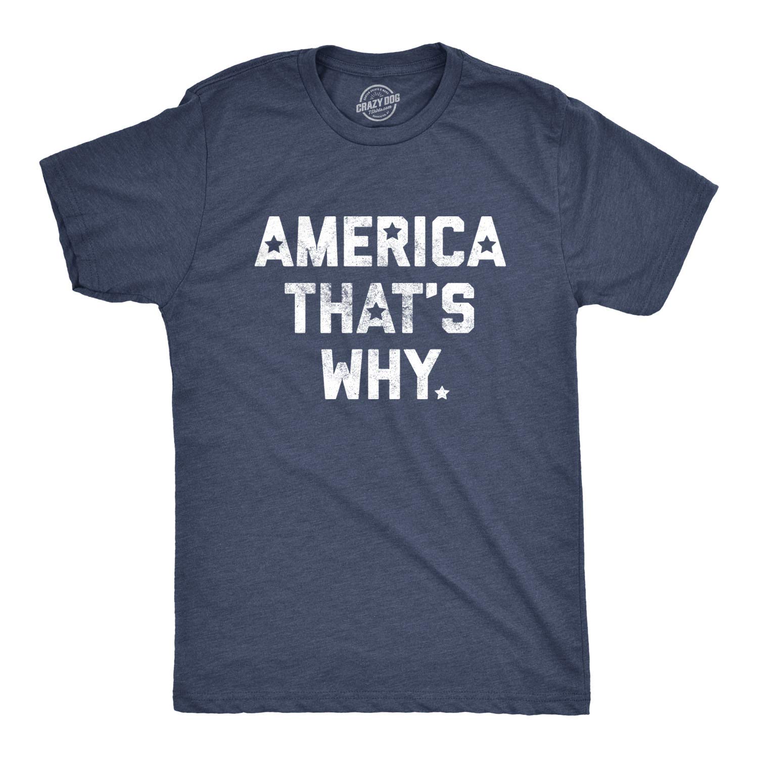 Funny 4th of July T-Shirt for Men - Patriotic 'America That's Why' Graphic Tee - Perfect for Independence Day Celebrations, BBQ Parties & Summer Outfits