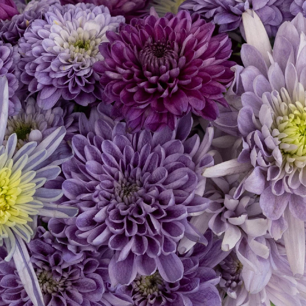 Blue Ocean Poms Flower Mix - Premium Artificial Flowers for Home Decor, Wedding Bouquets, and DIY Crafts