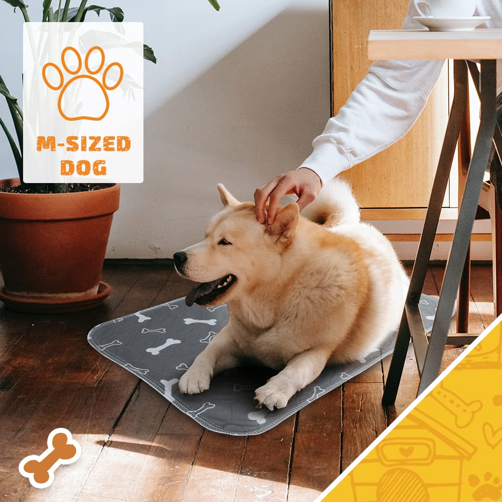6 Pack Washable & Reusable Dog Pee Pads - 32x28 Inch Non-Slip Puppy Training Pads with Super Absorbent Core | Ideal for Potty Training, Whelping, Playpen & Indoor/Outdoor Use