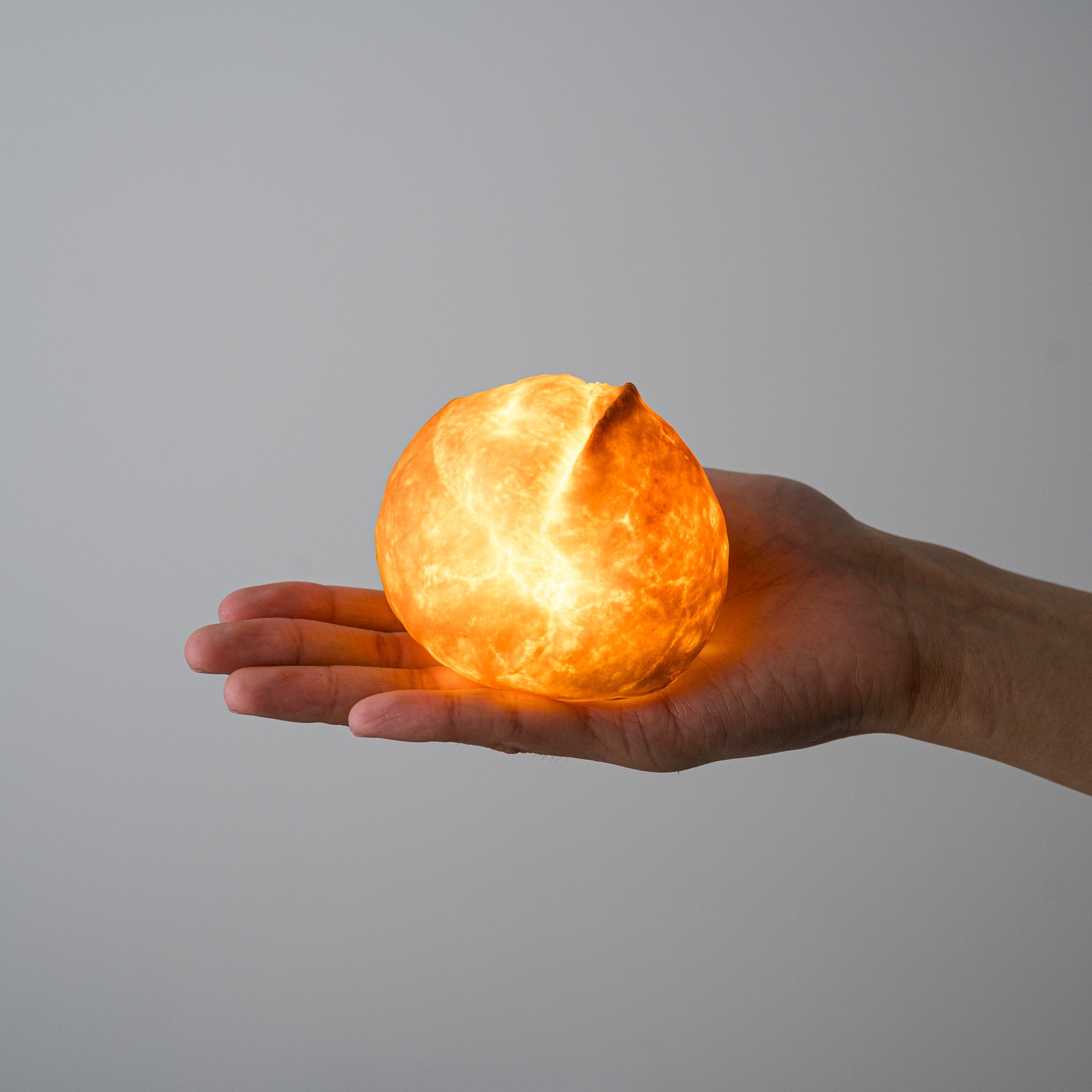 PAMPSHADE Real Bread Lamp - Handmade Petit Bread Night Light by Yukiko Morita | Unique Home Decor for Bedroom, Cafe & Gift Ideas