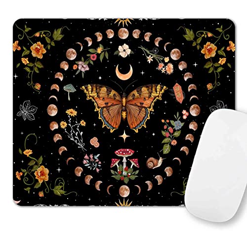 Orange and Black Butterfly