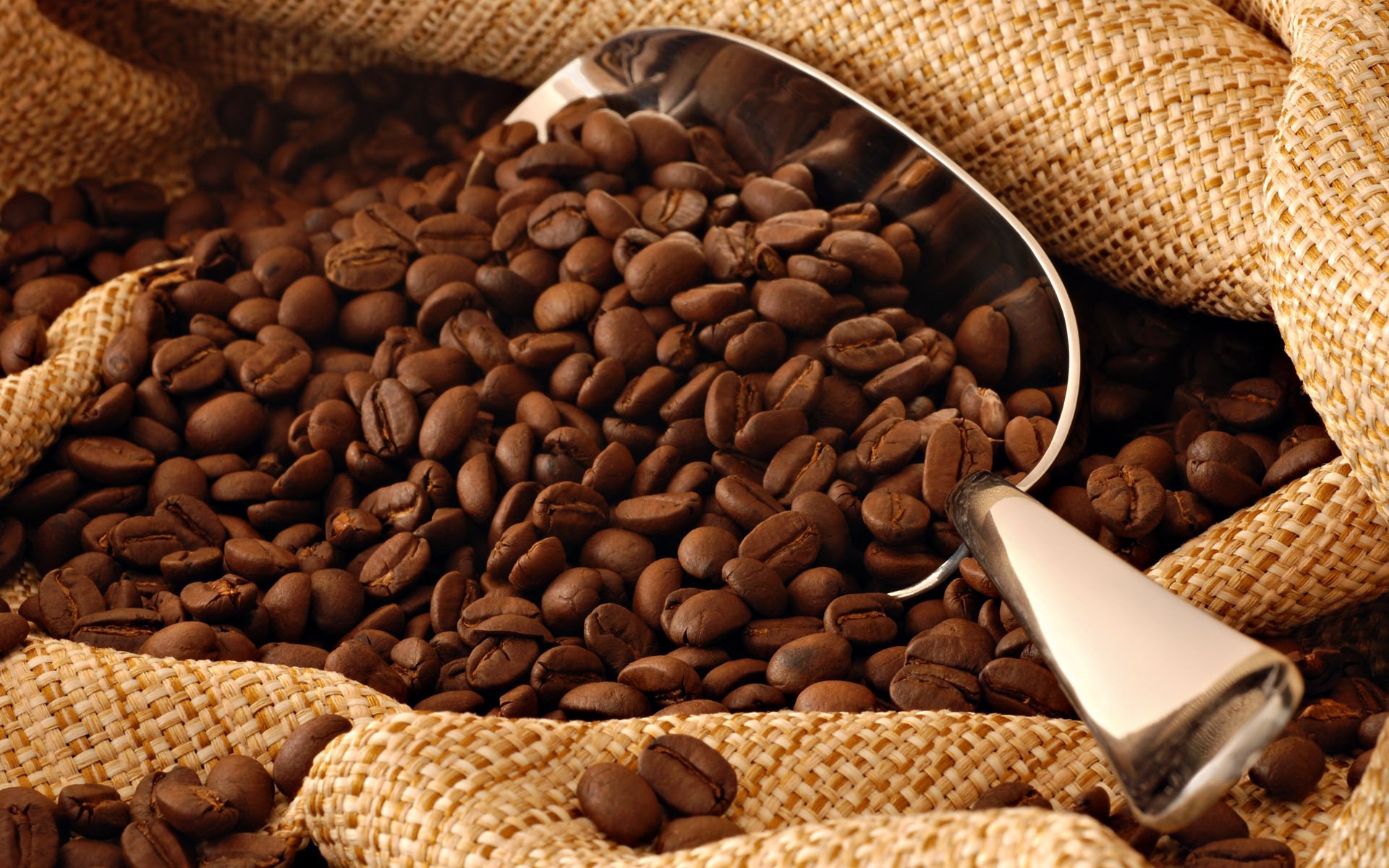 Premium Arabica Whole Coffee Beans - Chocolate Macadamia Nut Flavor with Milk Chocolate, Fresh Roasted to Order, 5 lb Bag - Perfect for Home Brewing, Office Use & Gourmet Gifts