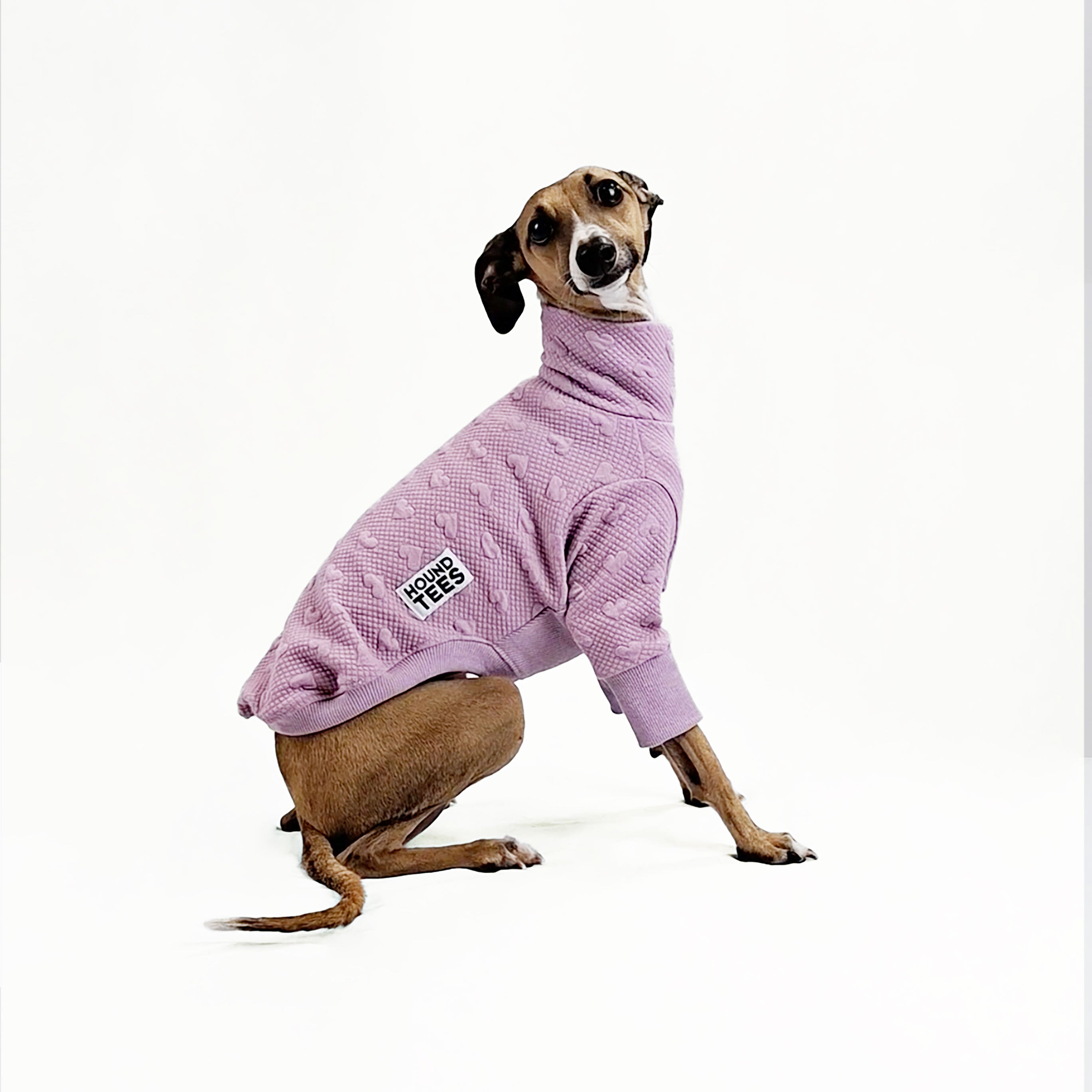 Lilac Love Italian Greyhound Quilted Sweater - Cozy Dog Sweater for Small Breeds - Perfect for Winter Walks & Indoor Comfort
